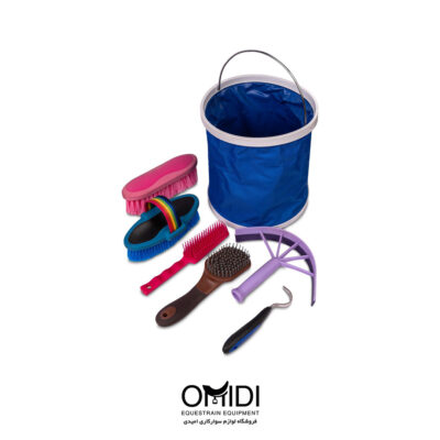 کیف تیمار سطلی
