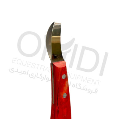 رنت لوپ SYRIANA