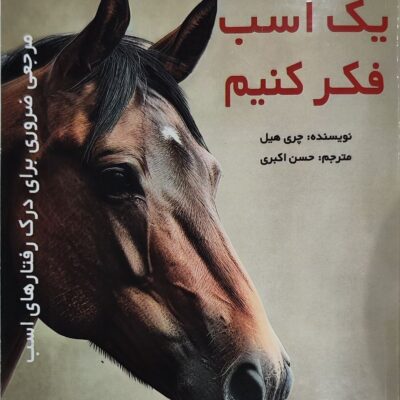 کتاب چگونه مثل یک اسب فکر کنیم